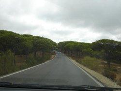 DSC03474.jpg
