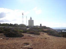 DSC03579.jpg