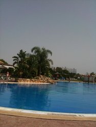 IMG_1389.jpg