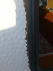 DSC_1009.jpg