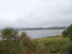 08.jpg
