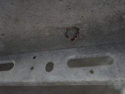 DSC07087-001.JPG