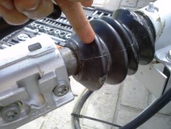 CAM00202.jpg