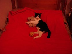 DSC02910.jpg