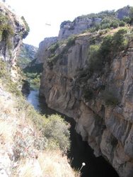 CIMG0508.jpg