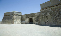 IMG180.jpg