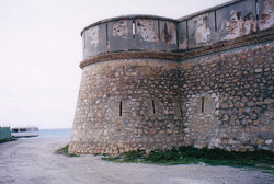 IMG181.jpg