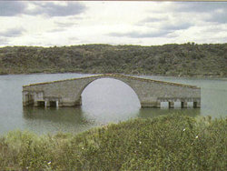 fotillo.jpg