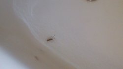 IMG-20130728-WA0026.jpg