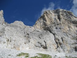 IMG_0356.jpg