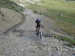 IMG_0364.jpg