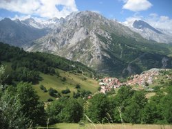 IMG_0376.jpg