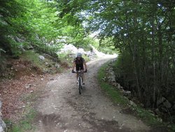 IMG_0392.jpg