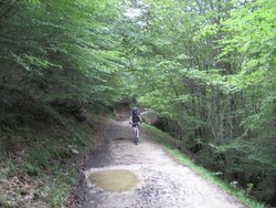 IMG_0393.jpg