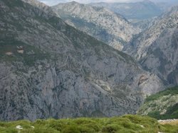 IMG_0403.jpg