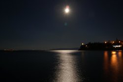DSC04041.jpg