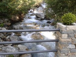20130806_084118.jpg