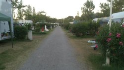 DSC_0713.jpg