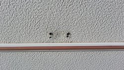 20131005_174516.jpg