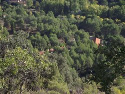 DSCF3707.jpg