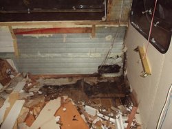 DSC01408.jpg