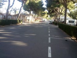 IMG_20131101_161451.jpg