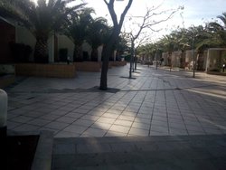 IMG_20131101_162656.jpg