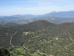 IMG_0164.jpg