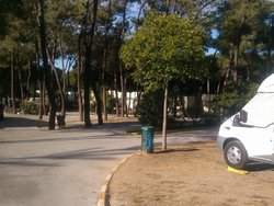 IMG_20131108_100625.jpg