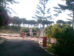 IMG_20131108_101016.jpg