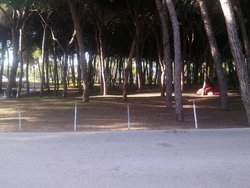 IMG_20131108_101328.jpg