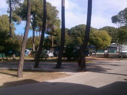 IMG_20131108_102018.jpg