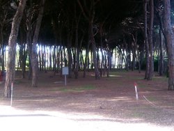 IMG_20131108_103336.jpg