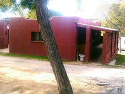 IMG_20131108_102929.jpg