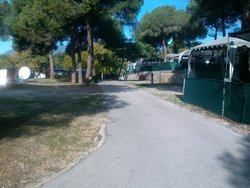 IMG_20131108_102307.jpg