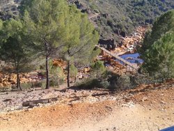 2013-12-08 12.25.36.jpg