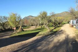 IMG_0522.jpg