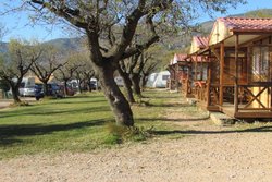 IMG_0571.jpg