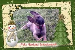 descarga (6).jpg