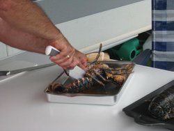 IMG_5886.jpg