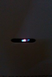 IMAG0663.jpg