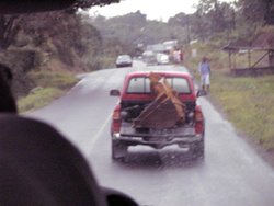 IMAG0475.jpg