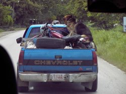 IMAG0530.jpg