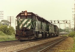 bn6531.jpg