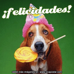 felicidades_a_1.gif