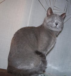 100_1576.jpg