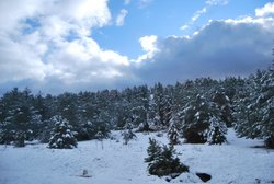 DSC_1101.jpg
