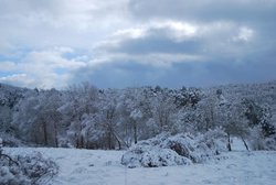 DSC_1125.jpg
