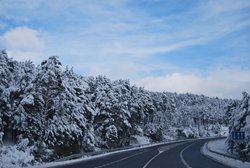 DSC_1132.jpg
