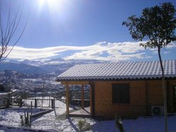 bungalow. beas.jpg